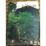 สมุนไพรกับวัฒนธรรมไทย ตอนที่ 1 ต้นไม้ตามทิศ/ พ.ญ.เพ็ญนภา ทรัพย์เจริญ: บรรณาธิการ