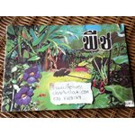 หนังสือส่งเสริมการอ่านชุดวิทยาศาสตร์ เรื่องพืช/ สิรินทร์ ช่วงโชติ