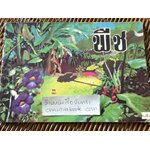 หนังสือส่งเสริมการอ่านชุดวิทยาศาสตร์ เรื่องพืช/ สิรินทร์ ช่วงโชติ