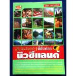 เที่ยวไม่ง้อทัวร์ ตีตั๋วท่องนิวซีแลนด์