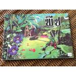 หนังสือส่งเสริมการอ่านชุดวิทยาศาสตร์ เรื่องพืช/ สิรินทร์ ช่วงโชติ (หนังสือแถม)