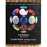 อาณาจักรล่องหน/ ปิแอร์ส ไบโซนี่