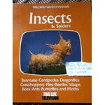 Insects & Spiders หนังสือชุดWild,Wild World of Animals