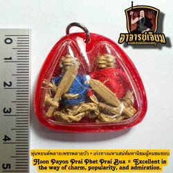 หุ่นพยนต์พลายเพชรพลายบัว Hoon Payon Prai Phet Prai Bua. SKU-02863