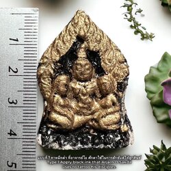 พญางั่งสาวหลงแม่ไก่ลืมลูก (แบบที่.1 ทาหมึกดำ) Polygamy Ngang (Type.1 Apply black ink) SKU-02735