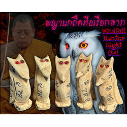 พญานกถึดทือเรียกลาภ Windfall Hunter Night Owl. SKU-03951