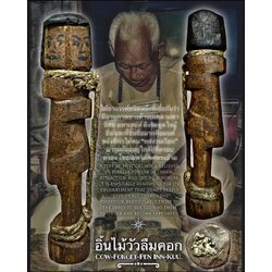 อิ้นไม้วัวลืมคอก Cow-Forget-Pen Inn-Kuu. SKU-03994