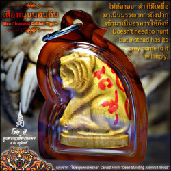 เสือหนุนนอนกิน Wealthbound Golden Tiger. SKU-03740