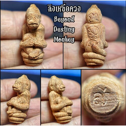 ลิงเหนือดวง Beyond Destiny Monkey. SKU-03303