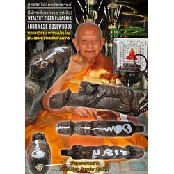 ปลัดขิกไม้แกะเรียกทรัพย์ (ไม้กระพี้เขาควาย, รูปเสือ) Wealthy Tiger Paladkik (Burmese Rosewood). SKU-02401