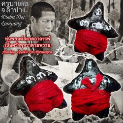 หุ่นพยนต์สะกดอาถรรพ์ (เนื้อครั่งพุทราตายพราย) Monkey Apple’s Lac Hoonpayon SKU-02216