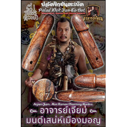 ปลัดขิกยันตะเบ๊ด (ไม้พยุงตายพราย) Palad Khik Yan-Ta-Bet (Perennial Death Siamese Rosewood). SKU-03255