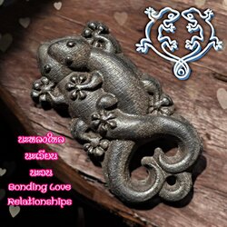 จิ้งจกสะดุ้งปี้ Breeding Lizard. SKU-02536