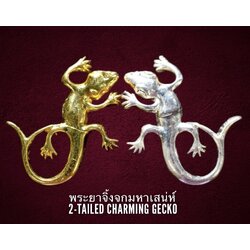 พระยาจิ้งจกมหาเสน่ห์ 2-Tailed Charming Gecko. SKU-03112