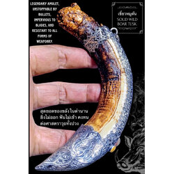 เขี้ยวหมูตัน Solid Wild Boar Tusk. SKU-03731