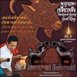 พญาแพะเหลียวหลัง (ไม้มะขามตายพราย) Backward-Gazing Goat King. (dead-standing tamarind wood) SKU-04001