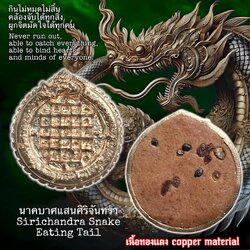 นาคบาศแสนศิริจันทรา (เนื้อทองแดง) Sirichandra Snake Eating Tail. (copper material) SKU-03581