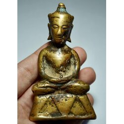 พญางั่งสุวรรณภูมิ Suvarnabhumi Ngang. SKU-03628