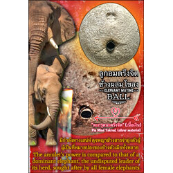 ลูกอมตรึงจิตช้างผสมโขลง Elephant Mating Ball. SKU-03677