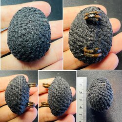 เบี้ยแก้หลวงปู่เจือ [เชือกถักสีดำ] Bia Kae Luang Pu Juer [Rope cover-Black color] SKU-01863