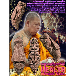 พญาต่อเรียกทรัพย์ Wealth Bringer Wasp. SKU-03733