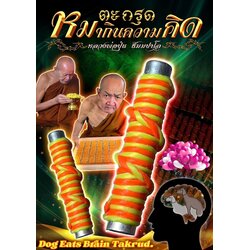 ตะกรุดหมากินความคิด Dog Eats Brain Takrud SKU-02495