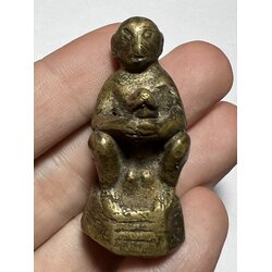 ลิงเจ้าเสน่ห์ / Naughty Monkey Showing Penis. SKU-02290