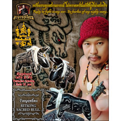 วัวธนูฤทธิ์คง (ตัวครูนำฤกษ์) Ritkong Sacred Bull. (supreme version) SKU-03358