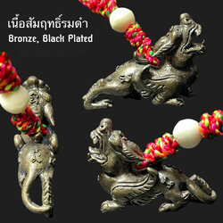 ปี่เซียะมหาโชคลาภ (เนื้อสัมฤทธิ์รมดำ) Wealthy Pixiu. (bronze material, black plated) SKU-02948