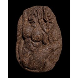 นางจิ้งจกเสน่ห์ Lady Gecko. SKU-03541