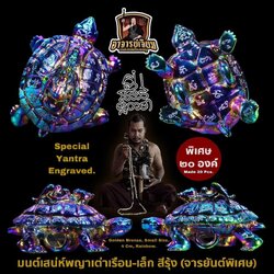 มนต์เสน่ห์พญาเต่าเรือน (6.เนื้อทองทิพย์, ชุบสีรุ้ง, จารยันต์) Charming Mantra Turtle King (6. Magic brass, rainbow, special yantra engraved) SKU-02814