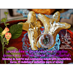 สีผึ้งนะพันธังจังงังจูงจิต Entwining Soul & Body Wax. SKU-03949