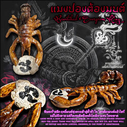 แมงป่องต้องมนต์ Bewitched Scorpion King. SKU-04026