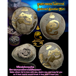 ลูกสวาดดอกไม้สวรรค์ Beloved Bonduc Nut. SKU-03595