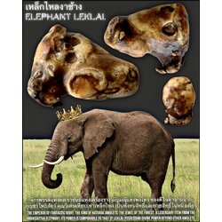เหล็กไหลงาช้าง Elephant Leklai. SKU-03724