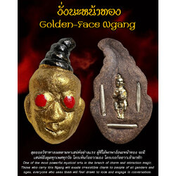 งั่งนะหน้าทอง Golden-Face Ngang. SKU-03900