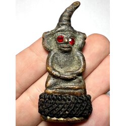 งั่งหูช้าง / Elephant’s Ears Ngang. SKU-02270