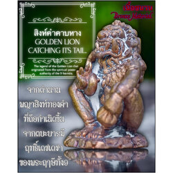 สิงห์คำคาบหาง (เนื้อสัมฤทธิ์) Golden Lion Catching Its Tail. (bronze material) SKU-03374