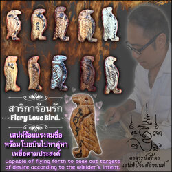 สาริการ้อนรัก Fiery Love Bird. SKU-03879