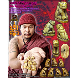 พยัคฆ์เมืองมอญ Mon Raman Tiger King. SKU-03254