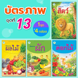 Book World Flash Card บัตรคำ บัตรภาพชุดที่ 13 (ดอกไม้, ผลไม้, ผัก, สัตว์) 1 ชุด มี 4 กล่อง