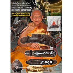 ปลัดขิกไม้แกะเรียกทรัพย์ (ไม้กระพี้เขาควาย, รูปจระเข้) Wealthy Crocodile Paladkik (Burmese Rosewood). SKU-02390