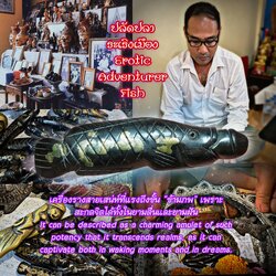ปลัดปลาระเริงเมือง Erotic Adventurer Fish. SKU-03880