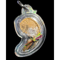 สาริกาปลาทอง (ตัวใหญ่) Goldfish Sarika. (big size with waterproof casing) SKU-02917