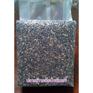 ปลายข้าวกล้องไรซ์เบอรี่+จมูกข้าว