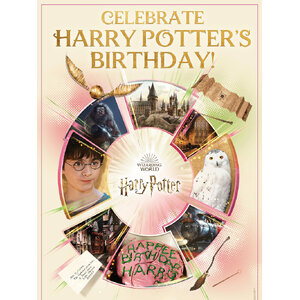 Celebrate Harry Potter Birthday!