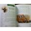 ROBIN HOOD โรบิน ฮูด วีรบุรุษจอมโจร (ไม่มี CD)/ Brian J. Stuart