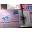 ปะทุ หนังสือรับเพื่อนใหม่2528