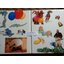 สารานุกรมสำหรับเด็ก บริทานิกา (16 เล่ม/ชุด)
