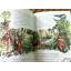 หนังสือส่งเสริมการอ่านสำหรับระดับประถมศึกษา ป่าไม้รอบตัวเรา Forest, Forest Everywhere